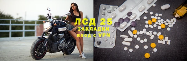 гашиш Богданович