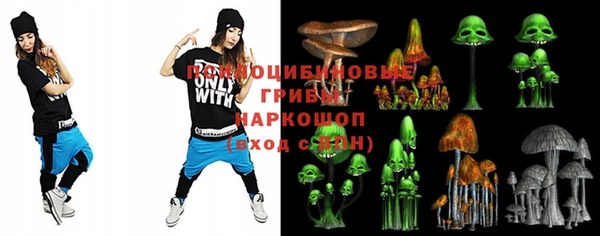 гашиш Богданович