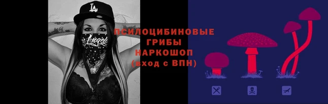 гашиш Богданович