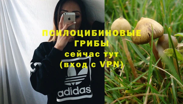 бутират Богородск