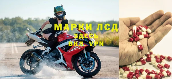 гашиш Богданович