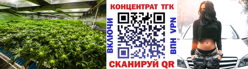 Купить где  Нытва  Дистиллят ТГК концентрат 
