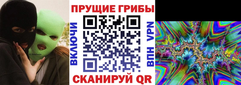 Купить закладки  Нытва  Галлюциногенные грибы Magic Shrooms 